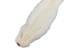 Male Ranch Mink Skin: White - 28-M-WH-AS (Y1KWR)