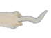 Male Ranch Mink Skin: White - 28-M-WH-AS (Y1KWR)