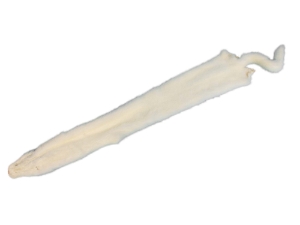 Male Ranch Mink Skin: White 