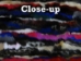 Dyed Mink Belly Plate: Pieces: Multicolor - 28-PLBPDMU (Y1K)
