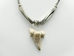 Otodus Fossil Shark Tooth Necklace: Silver Beads - 282-1