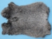 Czech #1/#2 Breeder Rabbit Skin: Natural Colors - 283-1-CZNAT (Y2IRQ)