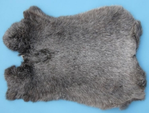 Czech #1/#2 Breeder Rabbit Skin: Natural Colors 