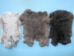 Czech #1/#2 Breeder Rabbit Skin: Natural Colors - 283-1-CZNAT (Y2IRQ)