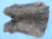 Czech #1/#2 Breeder Rabbit Skin: Bunny Gray - 283-1-CZNBG (Y2HRA)
