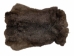 Czech #1/#2 Breeder Rabbit Skin: Chinchilla: Brown Phase - 283-1-CZNCHB (Y2HRA)