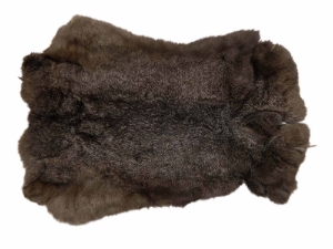 Czech #1/#2 Breeder Rabbit Skin: Chinchilla: Brown Phase 