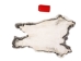Czech #1/#2 Breeder Rabbit Skin: Silver Chinchilla - 283-1-CZNCHS (Y2HRR)(Y2HRQ)