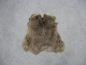 Czech #1/#2 Breeder Rabbit Skin: Snowtop Dark 