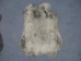 Czech #1/#2 Breeder Rabbit Skin: Snowtop Light - 283-1-CZNCPL (Y2FRM)(Y2HRP)