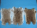 Czech #1/#2 Breeder Rabbit Skin: Fawn - 283-1-CZNFA-AS (Y2HRC)