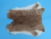 Czech #1/#2 Breeder Rabbit Skin: Fawn - 283-1-CZNFA-AS (Y2HRC)