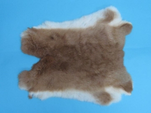Czech #1/#2 Breeder Rabbit Skin: Fawn  Fawn rabbit skins, Czech Fawn rabbit fur, Czech rabbit pelt, natural color, rabbit, Fawn
