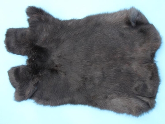 Czech #1/#2 Breeder Rabbit Skin: Black 