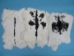 Czech #1/#2 Breeder Rabbit Skin: Black and White Spotted - 283-1-CZNSP1 (Y2HColumn)
