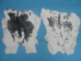 Czech #1/#2 Breeder Rabbit Skin: Gray and White Spotted - 283-1-CZNSP3 (Y2IRQ)