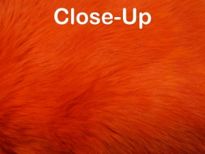 Dyed #1/#2 Czech Rabbit: Orange 