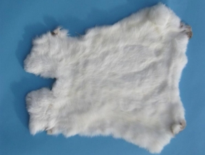 Czech #1/#2 Breeder Rabbit Skin: Creamy White 
