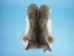 Hungarian Heavy Rabbit Skin: Bunny Brown: Large - 283-1-HUNBBL (Y2IRC)