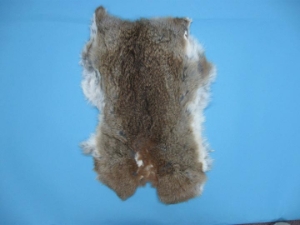Czech #3 Female Rabbit Skin: Mixed Natural Colors 