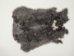 Czech Rabbit Skin: #4: Natural - 283-4-CZN (Y2HRK)