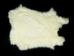Czech Rabbit Skin: #4: White - 283-4-CZW (Y2HRJ)