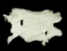 Czech Rabbit Skin: #4: White - 283-4-CZW (Y2HRJ)