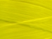 Imitation Sinew: 544 yards/1,632 feet: Yellow - 287-16-533-YL (Y2HC17)