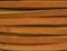 Latigo Lacing 1/8"x50 feet: Chieftan - 2918x50CT (Y1MC15)
