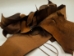Distressed Woodland Pig Leather Scrap: Natural (lb) - 296-DW-NALB-AS (Y2DRD)(Y2DRR)