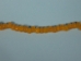 9mm Crow Beads: Translucent Yellow (kg) - 302-35 (Y1XRB)