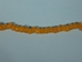 9mm Crow Beads: Translucent Yellow (kg) - 302-35 (Y1X)