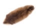 Muskrat Skin: #1 Grade - 308-1 (Y1LC02)