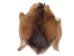 Muskrat Skin: Craft Grade - 308-CR (Y1G)