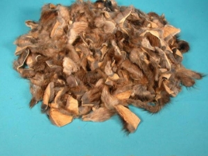 Muskrat Fur Scrap (lb) 