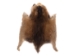 Muskrat Skin: Trading Post Grade - 308-TP (Y1MC19)