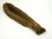 Nutria Skin: Dark: Assorted - 31-01-AS (Y1KWR)