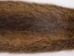 Nutria Skin: Dark: Assorted - 31-01-AS (Y1KWR)