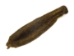 Nutria Skin: Dark: Assorted - 31-01-AS (Y1KWR)
