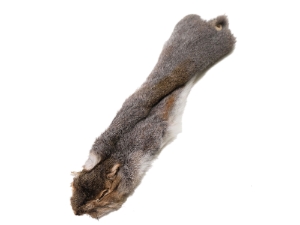 Gray Fox Squirrel Skins 