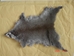 Chinese Gray Squirrel Skin - 32-50 (Y2I)