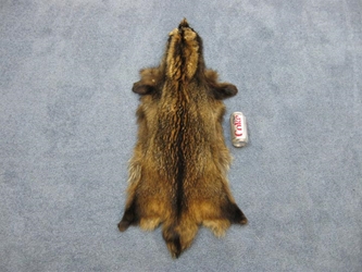 Trading Post Grade Natural Finn Raccoon Skin 
