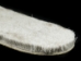 Reindeer Fur Insoles - 330-IN-37 (Y2O)