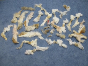 Coyote Fur Scrap: Leg & Flank (lb) 