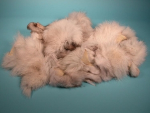 Blue Fox Fur Scrap (lb) 