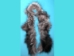 Silver Fox Fur Scrap (lb) - 331-22 (Y1K)
