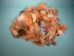 Red Fox Fur Scrap (lb) - 331-24 (Y1K)