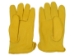 Tan Men's Deerskin Gloves - 337-M102-S (Y2IC06)