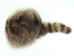 Real Davy Crockett Hat - 343-30-220 (Y2N)