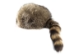 Real Davy Crockett Hat - 343-30-220 (Y2N)